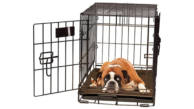 K&H PET PRODUCTS Self-Warming Crate Pad 