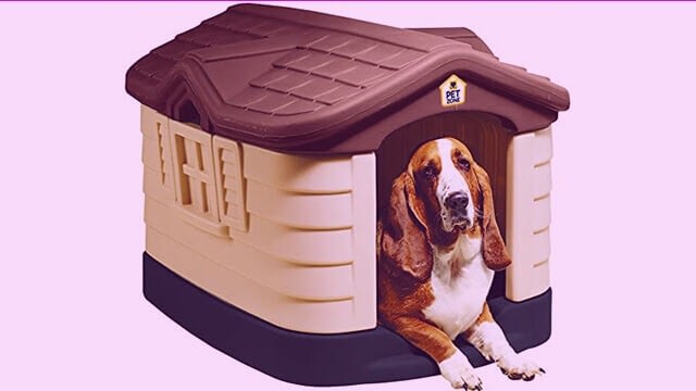 Cozzy cottage for dog