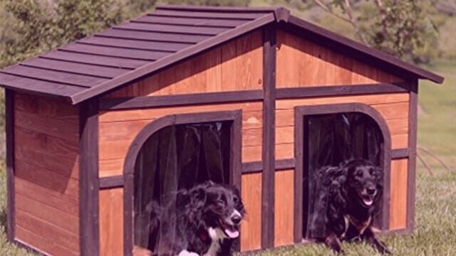 Double dog house