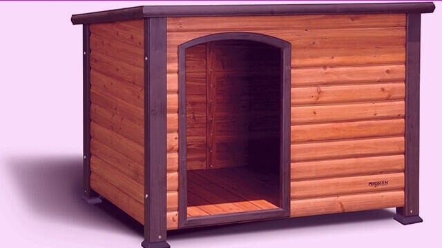 Log cabin dog house
