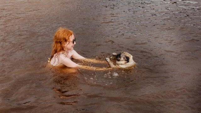 Teaching a dog how to swim  