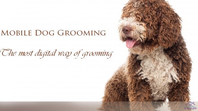 Mobile dog grooming