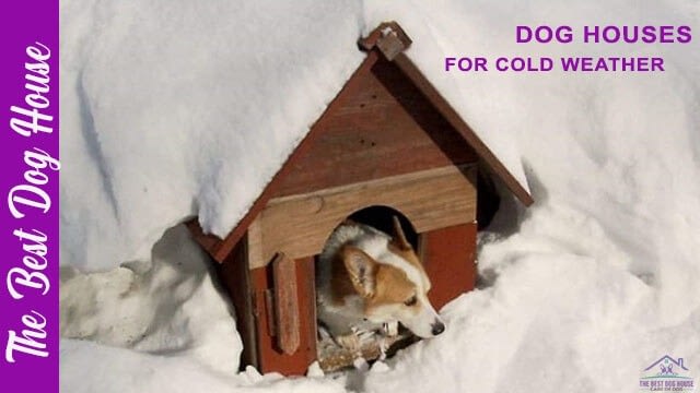 dog houses for cold weather