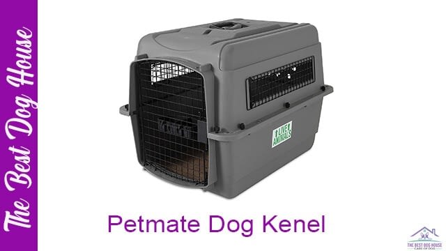 Petmate dog kennel