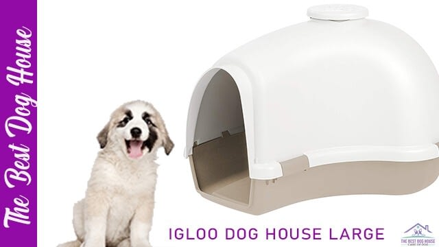 Igloo dog house large
