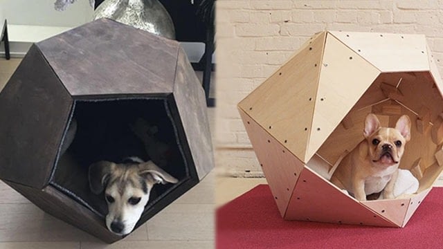 Geometric dog house