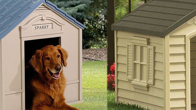 dog house for large dog