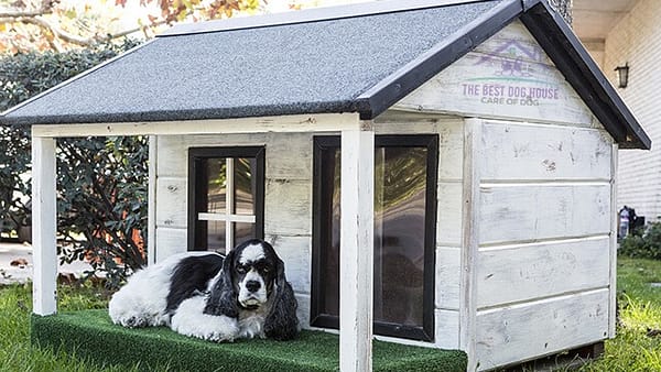 How to build a large dog house