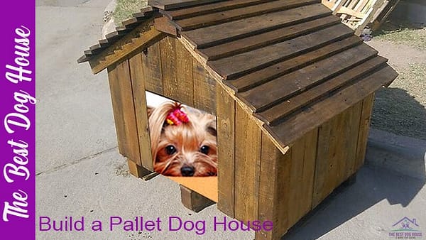 Pallet dog house