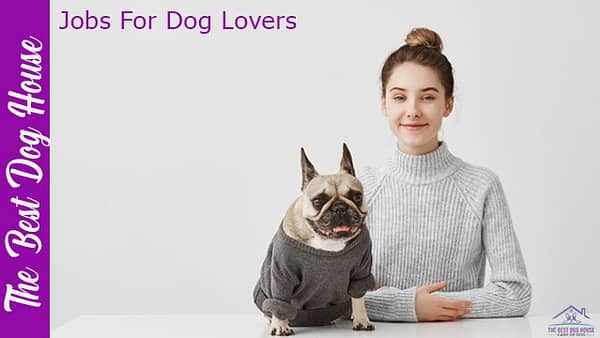 jobs for dog lovers