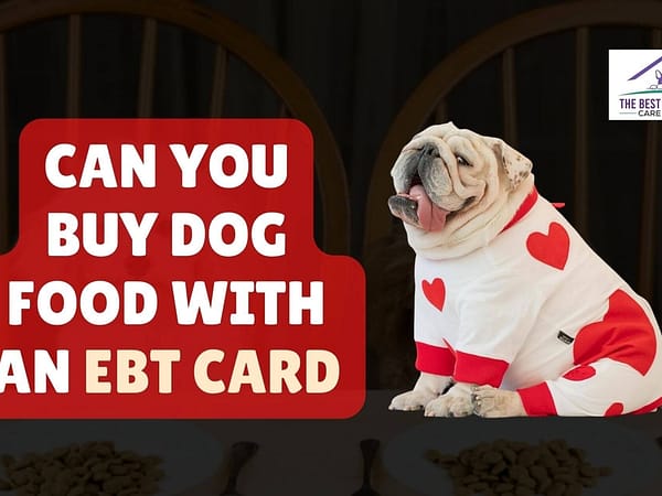 Can You Buy Dog Food With an EBT Card
