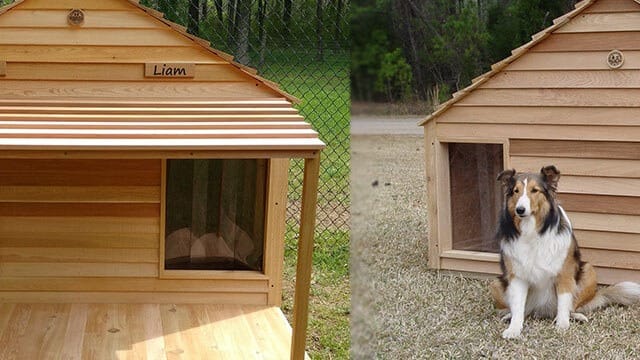 Duplex wood dog house