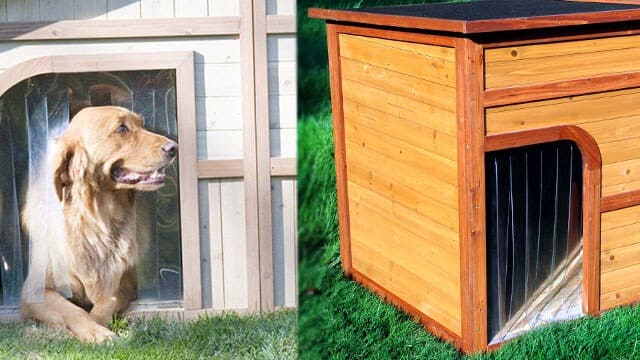 dog house for large dog
