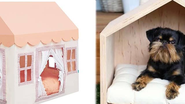 Petite outdoor dog kennel