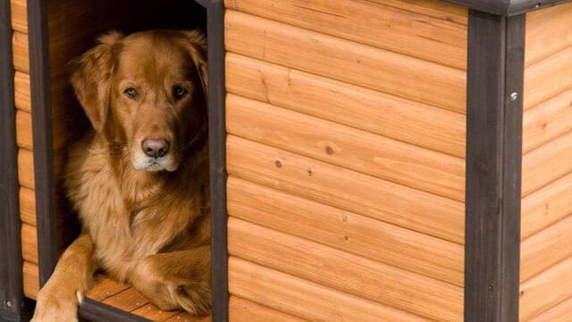 Precision pet petmate log cabin dog house