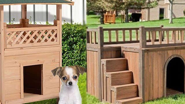 dog house ideas