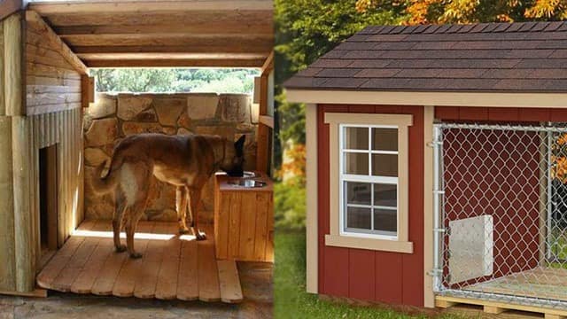 dog house ideas