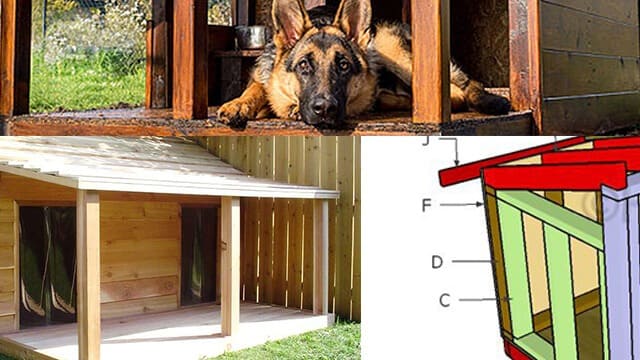 The top 5 large dog house plans