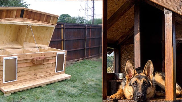 Diy dog house with pallets