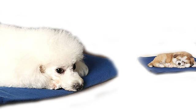 FLYMEI heating pad for dog house