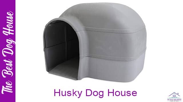 Husky dog house