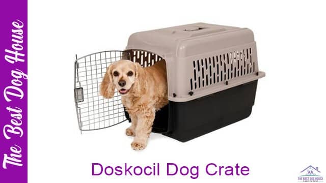 Doskocil dog crate