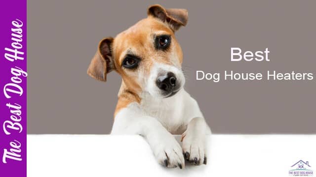 dog house heater