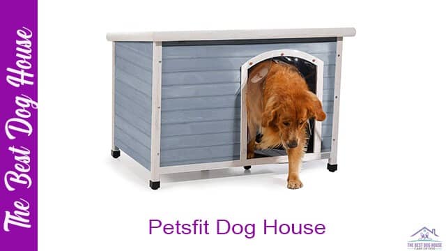 Petsfit dog house
