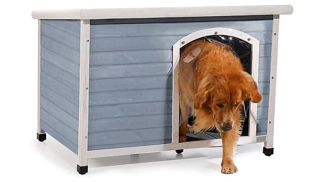 Best dog house for hot weather