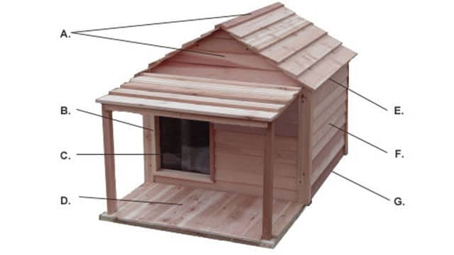 custom dog house ideas