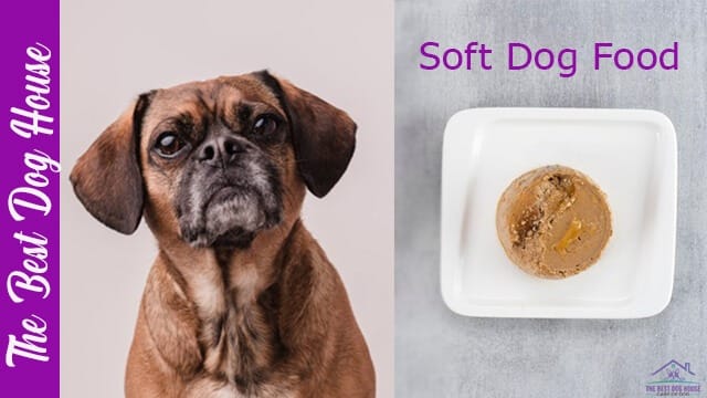 Soft dog food
