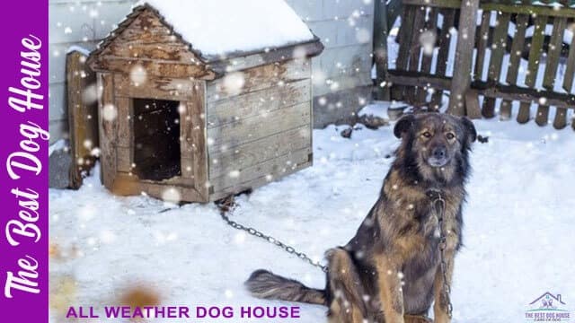 All weather dog house