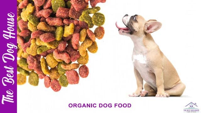 Organic dog food
