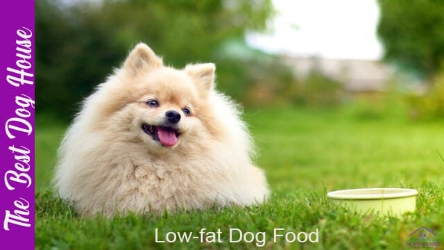 low fat dog food
