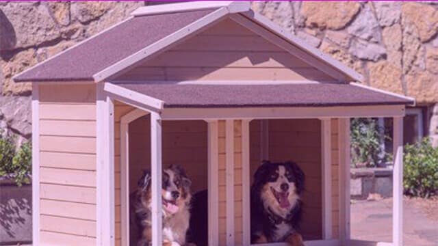 double entrance dog house