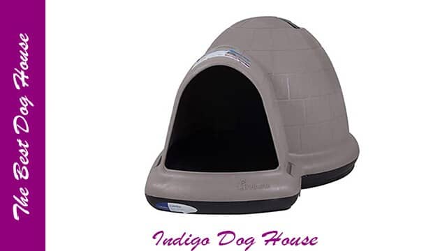 Indigo dog house