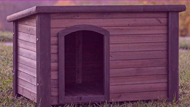 Cabin style dog house
